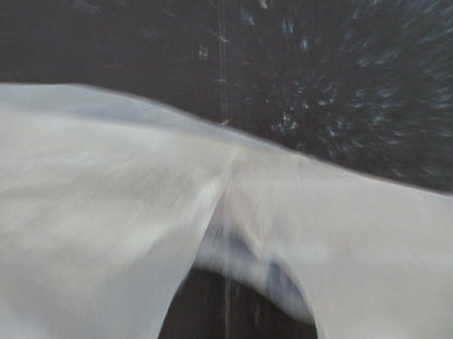 DER SUBJEKTIVE FAKTOR GERMAN A1 POSTER ROLLED ANGELIKA ROMMEL DUTSCH 1981 Movie posters