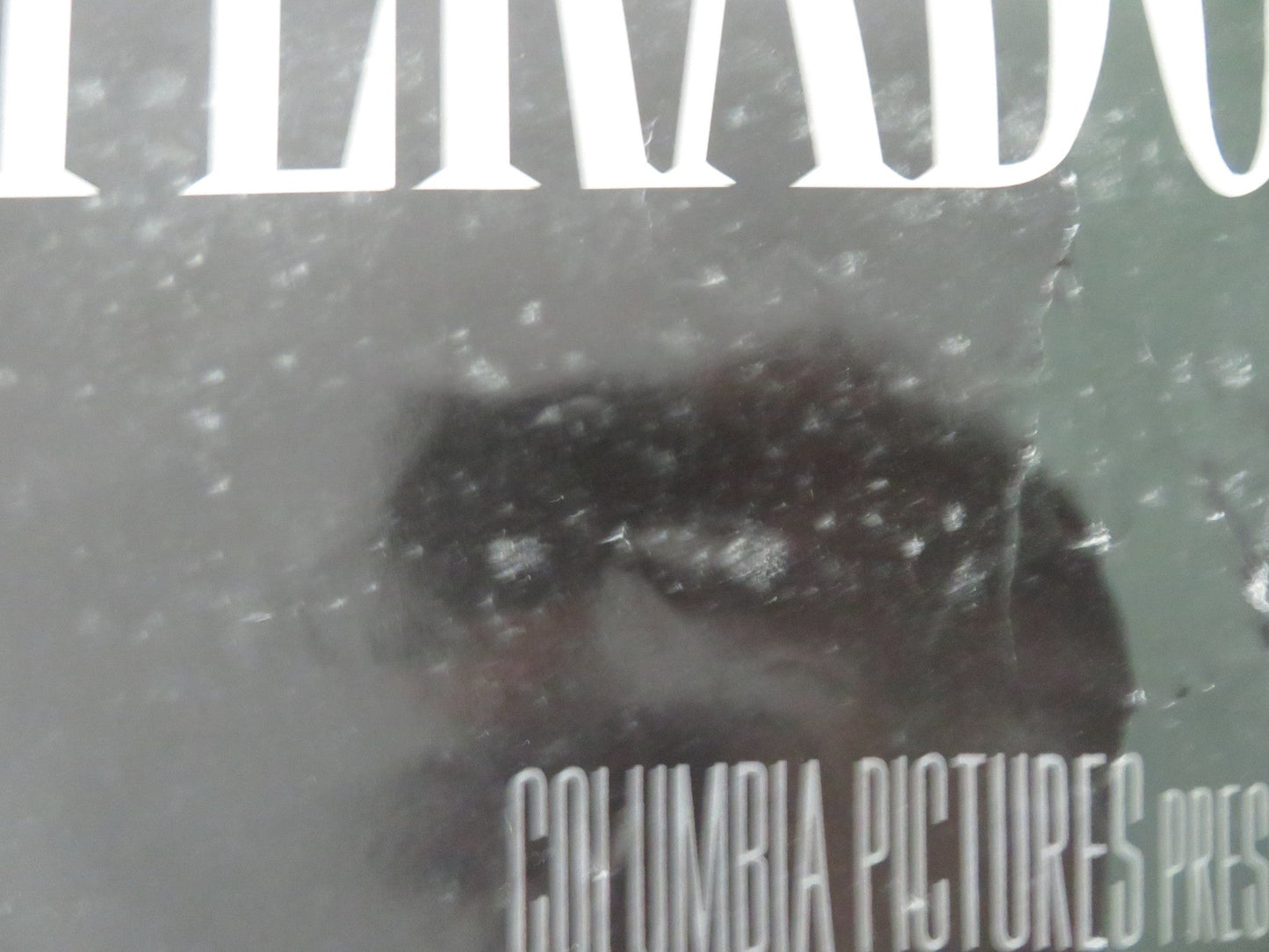 DESPERADO POSTER ROLLED ANTONIO BANDERAS SALMA HAYEK 1995 Movie posters