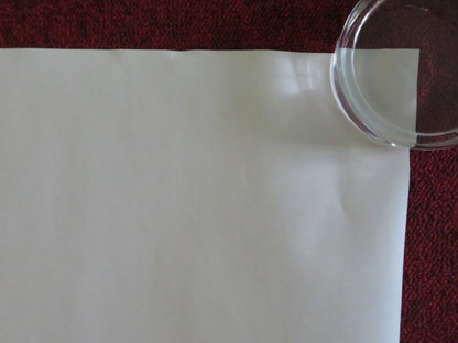 DESPICABLE ME - B UK QUAD ROLLED POSTER STEVE CARELL JASON SEGAL 2010 Movie posters