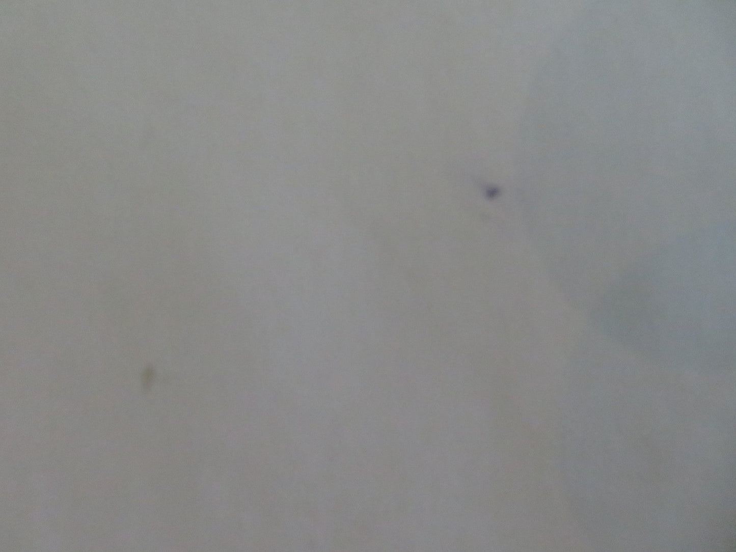 DESPICABLE ME - B UK QUAD ROLLED POSTER STEVE CARELL JASON SEGAL 2010 Movie posters