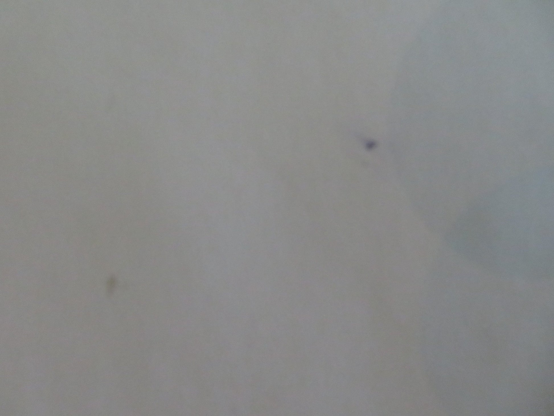 DESPICABLE ME - B UK QUAD ROLLED POSTER STEVE CARELL JASON SEGAL 2010 Movie posters