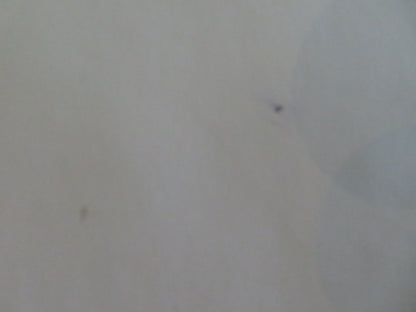 DESPICABLE ME - B UK QUAD ROLLED POSTER STEVE CARELL JASON SEGAL 2010 Movie posters