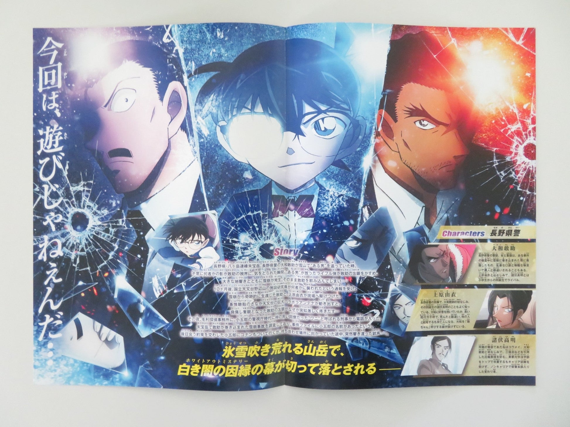 DETECTIVE CONAN: ONE - EYED FLASHBACK - B JAPANESE CHIRASHI (B5) POSTER HAYAMI 2025 Movie posters
