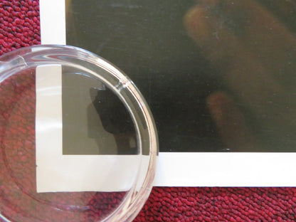 DHADAK UK QUAD ROLLED POSTER JANHVI KAPOOR ISHAAN KHATTAR 2018 Rendezvous Cinema Movie posters