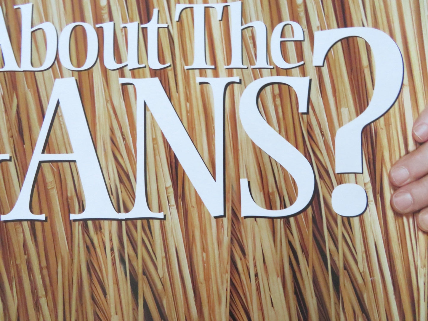 DID YOU HEAR ABOUT THE MORGANS? UK QUAD ROLLED POSTER HUGH GRANT S.J PARKER 2009 Rendezvous Cinema Movie posters