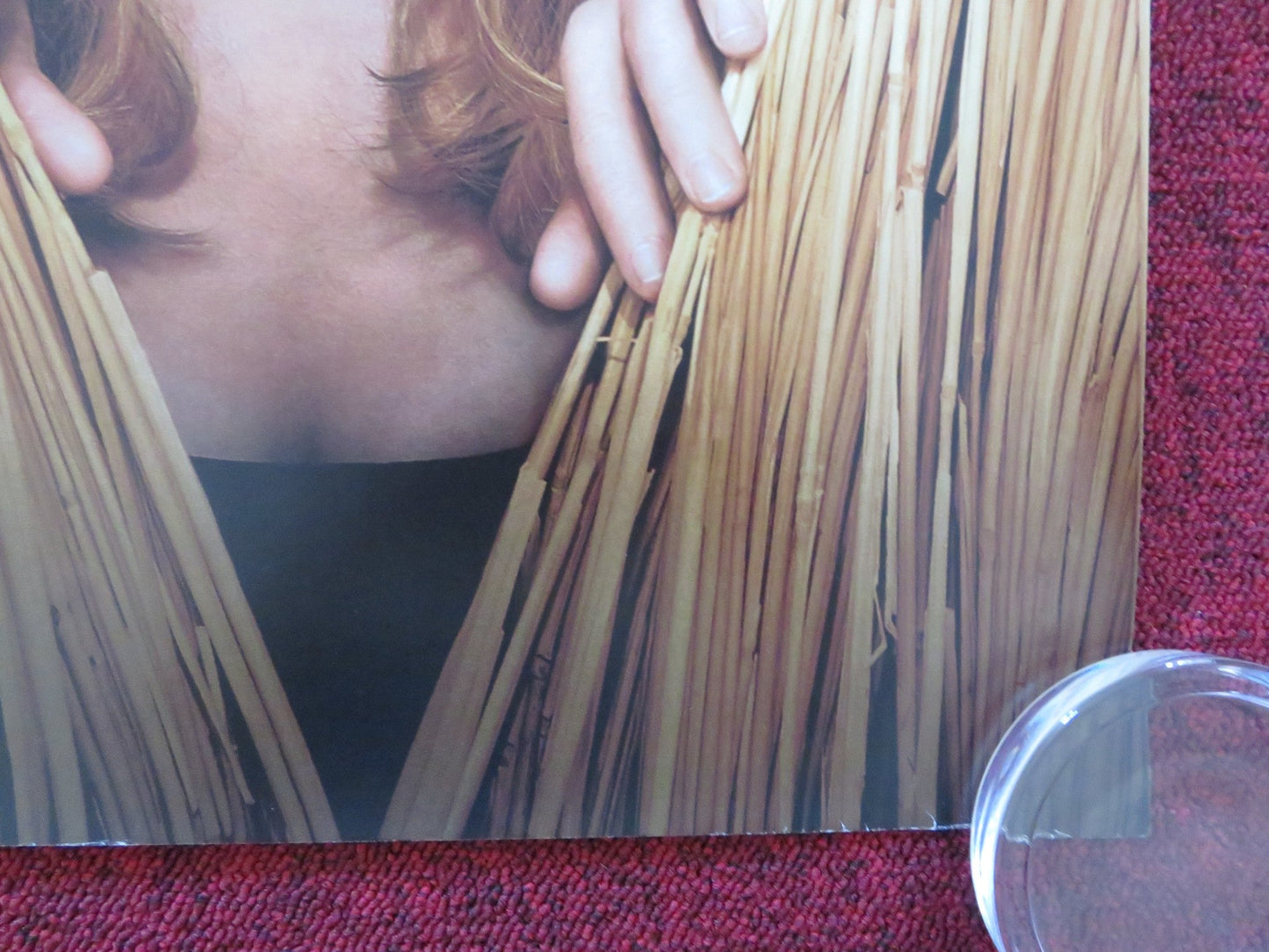 DID YOU HEAR ABOUT THE MORGANS? UK QUAD ROLLED POSTER HUGH GRANT S.J PARKER 2009 Rendezvous Cinema Movie posters