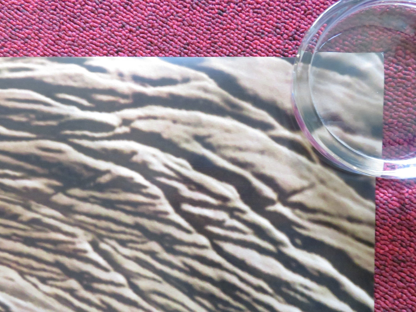 DINOSAUR US ONE SHEET ROLLED POSTER DISNEY ALFRE WOODARD OSSIE DAVIS 2000 Rendezvous Cinema Movie posters