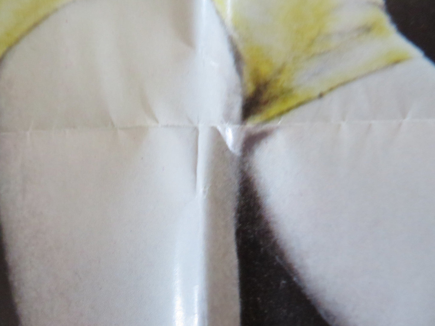 DISCO FEVER FOLDED US ONE SHEET POSTER FABIAN CASEY KASEM 1979 Rendezvous Cinema Movie posters