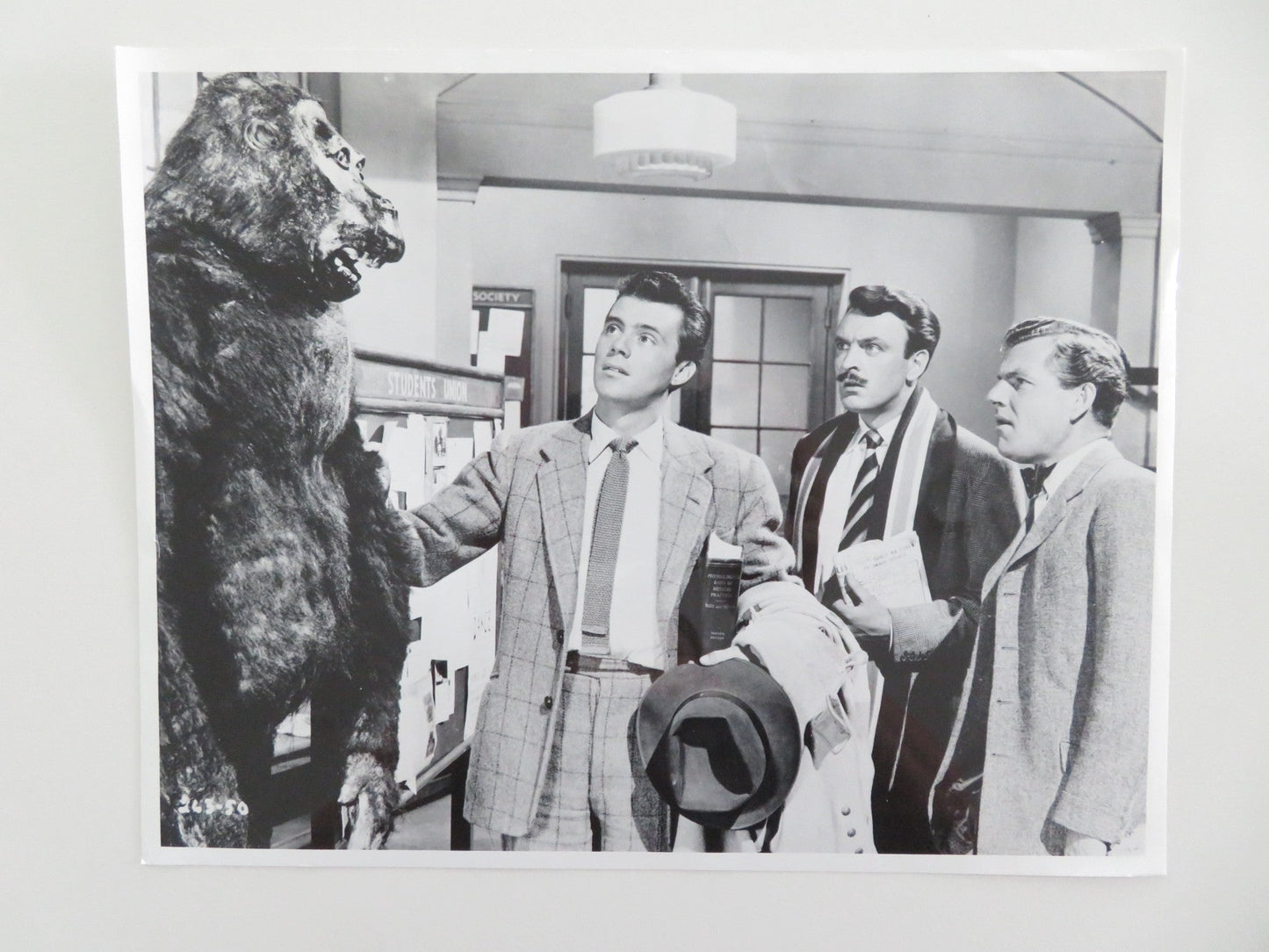 DOCTOR IN THE HOUSE MOVIE STILL PHOTO DIRK BOGARDE KENNETH MORE 1954 Movie posters