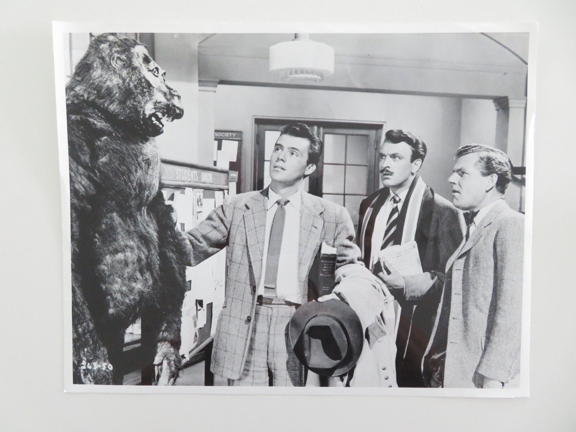 DOCTOR IN THE HOUSE MOVIE STILL PHOTO DIRK BOGARDE KENNETH MORE 1954 Movie posters