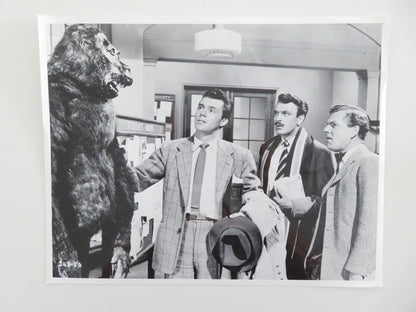 DOCTOR IN THE HOUSE MOVIE STILL PHOTO DIRK BOGARDE KENNETH MORE 1954 Movie posters