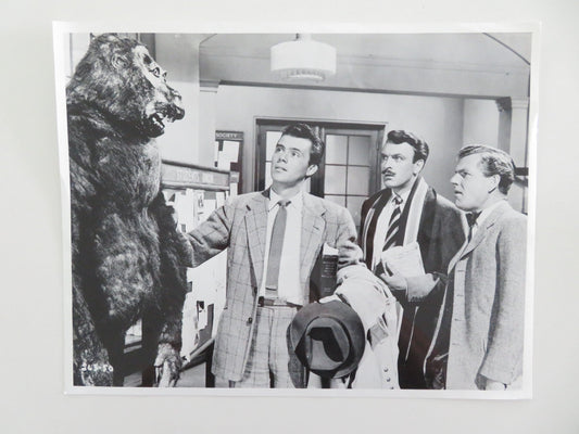 DOCTOR IN THE HOUSE MOVIE STILL PHOTO DIRK BOGARDE KENNETH MORE 1954 Movie posters