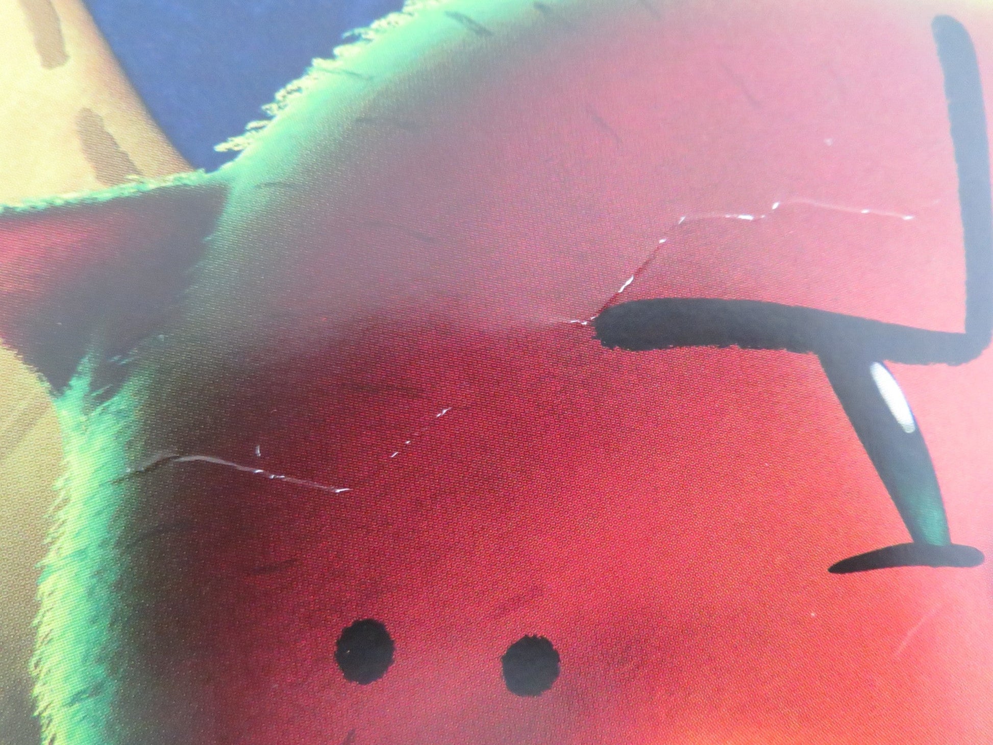 DOG MAN UK QUAD ROLLED POSTER PETE DAVIDSON ISLA FISHER 2025 Movie posters