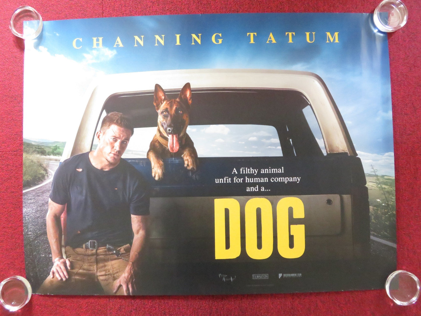 DOG UK QUAD ROLLED POSTER CHANNING TATUM RYDER MCLAUGHLIN 2022 Rendezvous Cinema Movie posters