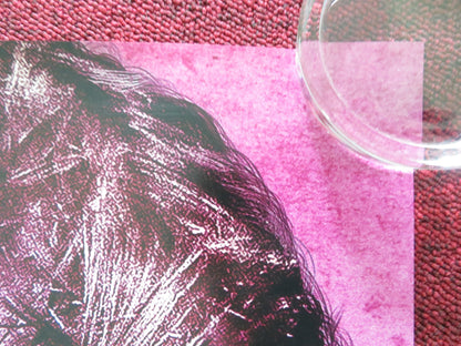 DOGMAN US ONE SHEET ROLLED POSTER CALEB LANDRY JONES JOJO T. GIBBS 2023 Rendezvous Cinema Movie posters