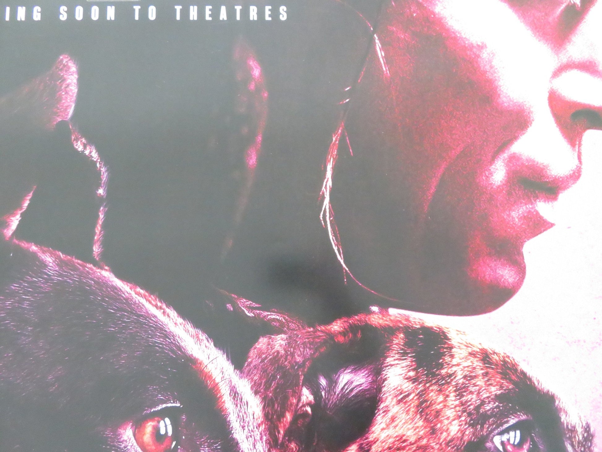 DOGMAN US ONE SHEET ROLLED POSTER CALEB LANDRY JONES JOJO T. GIBBS 2023 Rendezvous Cinema Movie posters