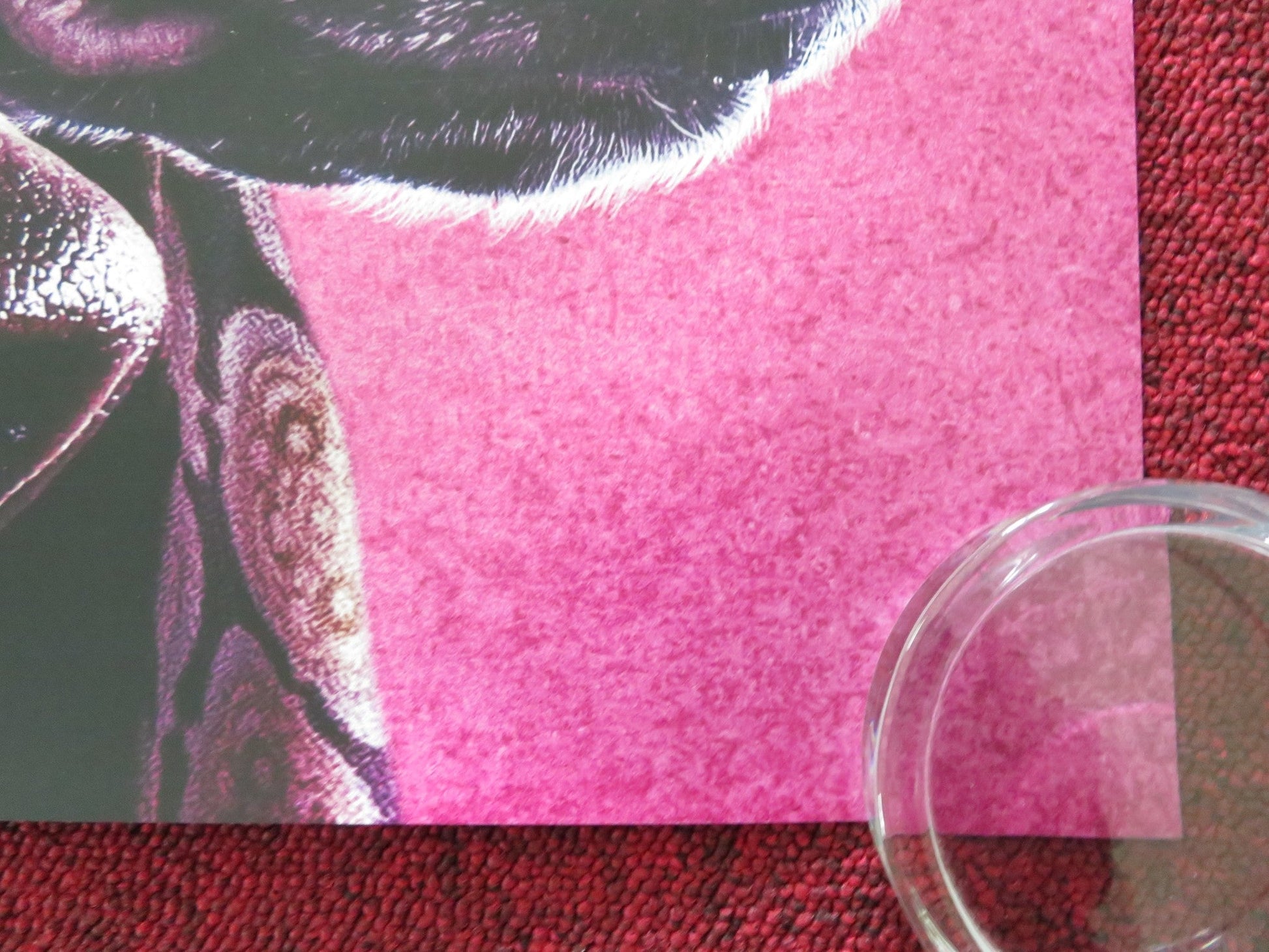 DOGMAN US ONE SHEET ROLLED POSTER CALEB LANDRY JONES JOJO T. GIBBS 2023 Rendezvous Cinema Movie posters