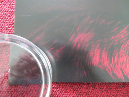 DOGMAN US ONE SHEET ROLLED POSTER CALEB LANDRY JONES JOJO T. GIBBS 2023 Rendezvous Cinema Movie posters