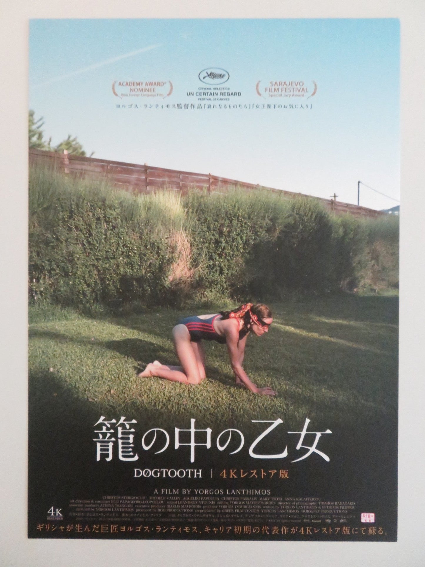 DOGTOOTH JAPANESE CHIRASHI (B5) POSTER CHRISTOS STERGIOGLOU MICHELE VALLEY R2025 Rendezvous Cinema Movie posters