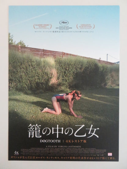 DOGTOOTH JAPANESE CHIRASHI (B5) POSTER CHRISTOS STERGIOGLOU MICHELE VALLEY R2025 Rendezvous Cinema Movie posters