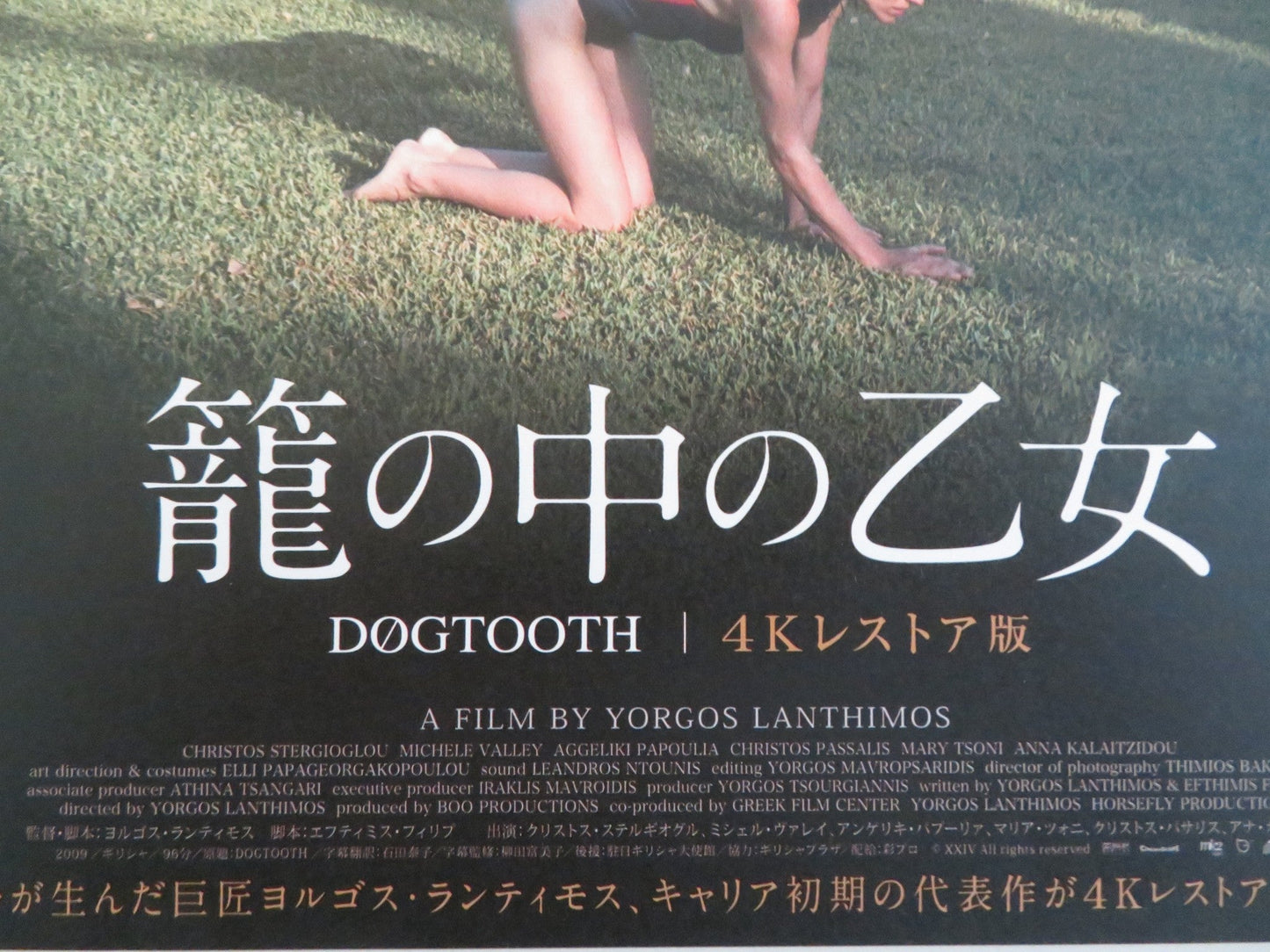 DOGTOOTH JAPANESE CHIRASHI (B5) POSTER CHRISTOS STERGIOGLOU MICHELE VALLEY R2025 Rendezvous Cinema Movie posters