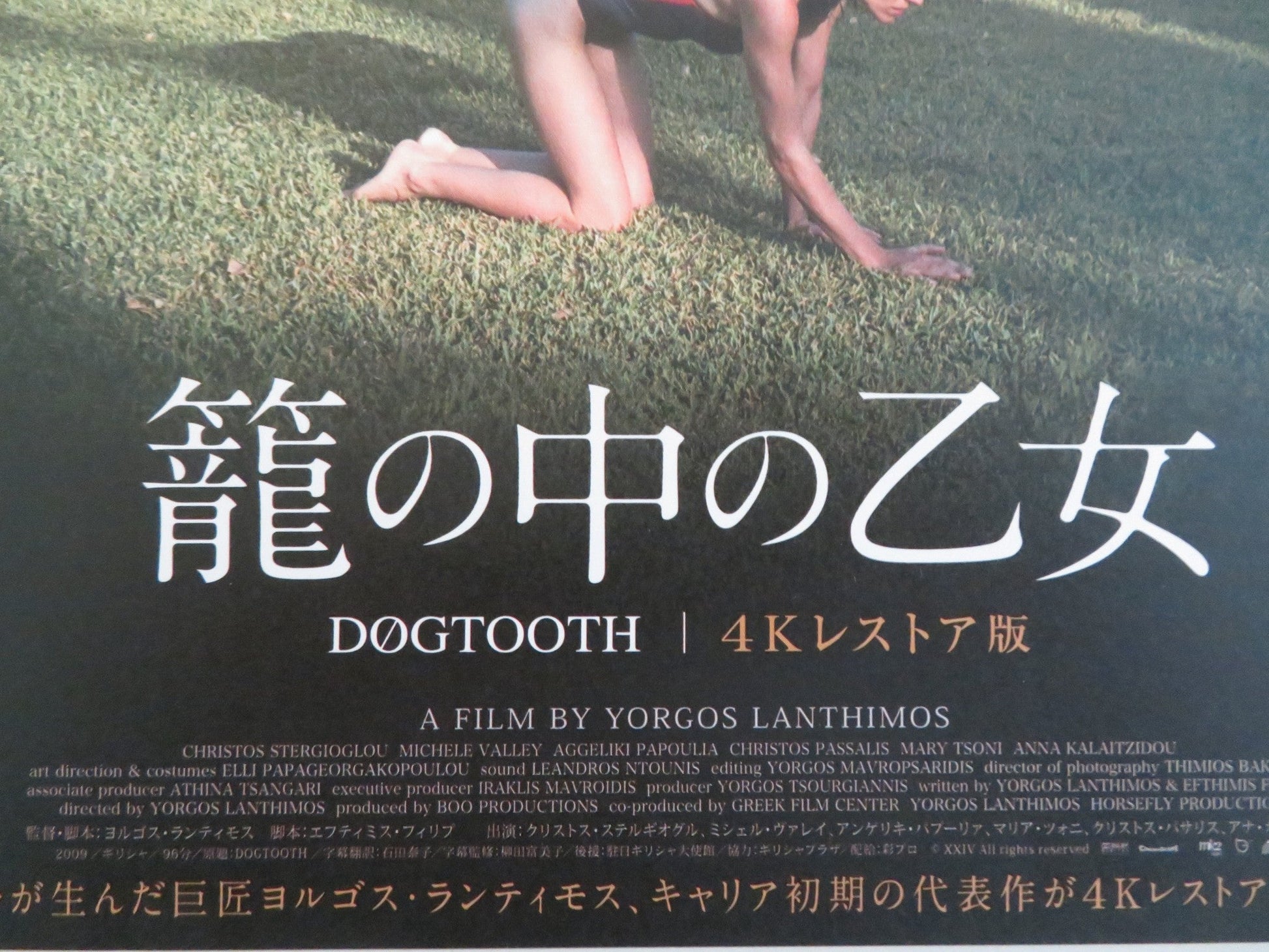 DOGTOOTH JAPANESE CHIRASHI (B5) POSTER CHRISTOS STERGIOGLOU MICHELE VALLEY R2025 Rendezvous Cinema Movie posters