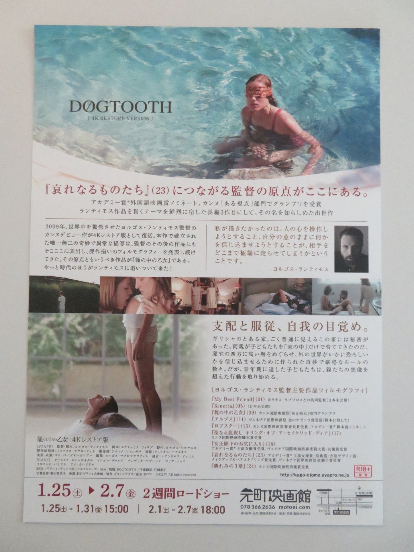DOGTOOTH JAPANESE CHIRASHI (B5) POSTER CHRISTOS STERGIOGLOU MICHELE VALLEY R2025 Rendezvous Cinema Movie posters