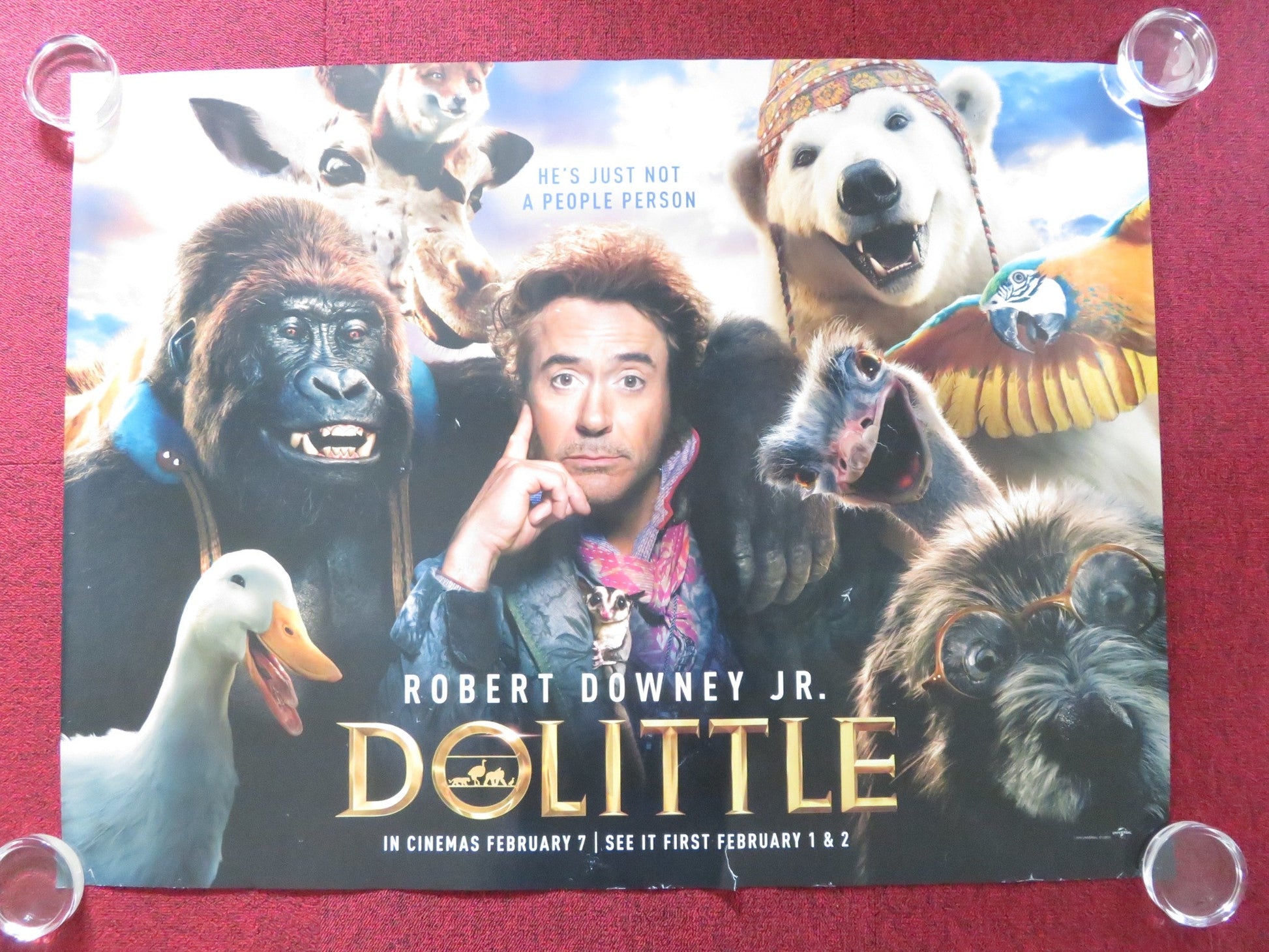 DOLITTLE - B UK QUAD ROLLED POSTER ROBERT DOWNEY JR. ANTONIO BANDERAS 2020 Rendezvous Cinema Movie posters