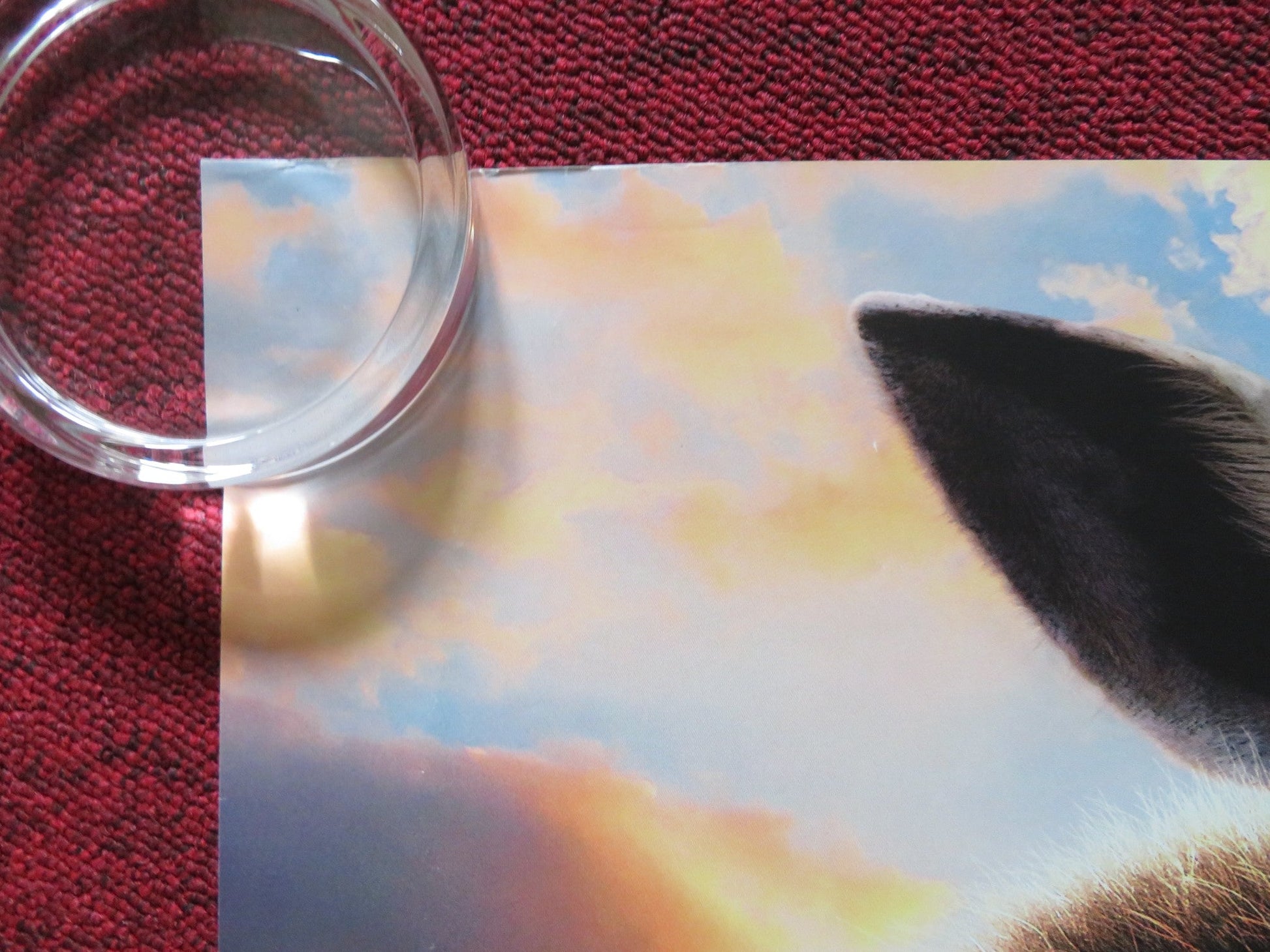 DOLITTLE - B UK QUAD ROLLED POSTER ROBERT DOWNEY JR. ANTONIO BANDERAS 2020 Rendezvous Cinema Movie posters