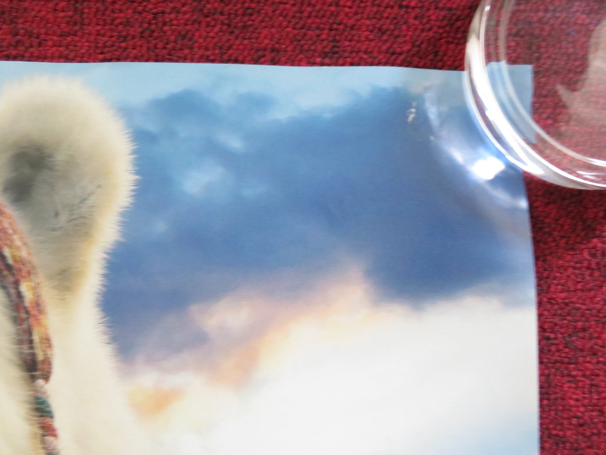 DOLITTLE - B UK QUAD ROLLED POSTER ROBERT DOWNEY JR. ANTONIO BANDERAS 2020 Rendezvous Cinema Movie posters