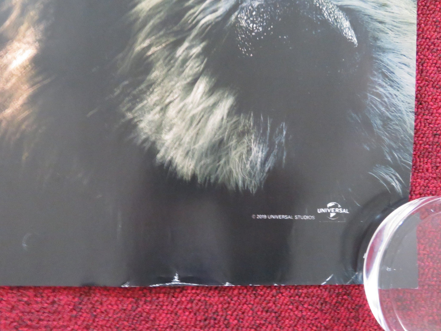 DOLITTLE - B UK QUAD ROLLED POSTER ROBERT DOWNEY JR. ANTONIO BANDERAS 2020 Rendezvous Cinema Movie posters