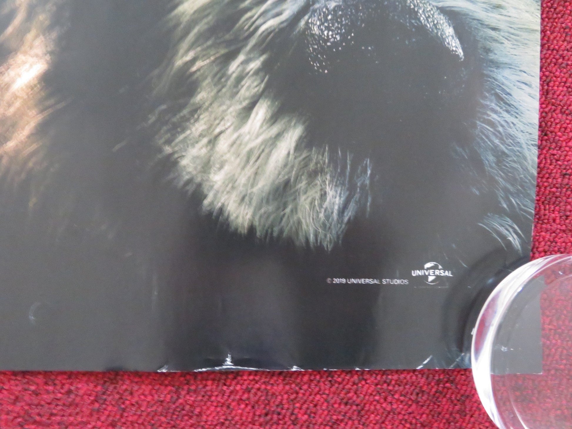 DOLITTLE - B UK QUAD ROLLED POSTER ROBERT DOWNEY JR. ANTONIO BANDERAS 2020 Rendezvous Cinema Movie posters