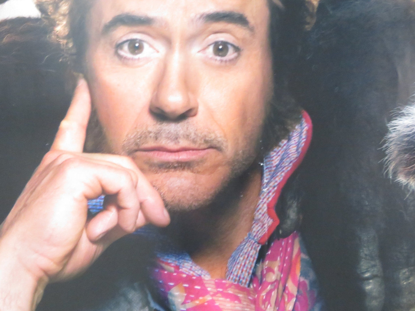 DOLITTLE - B UK QUAD ROLLED POSTER ROBERT DOWNEY JR. ANTONIO BANDERAS 2020 Rendezvous Cinema Movie posters