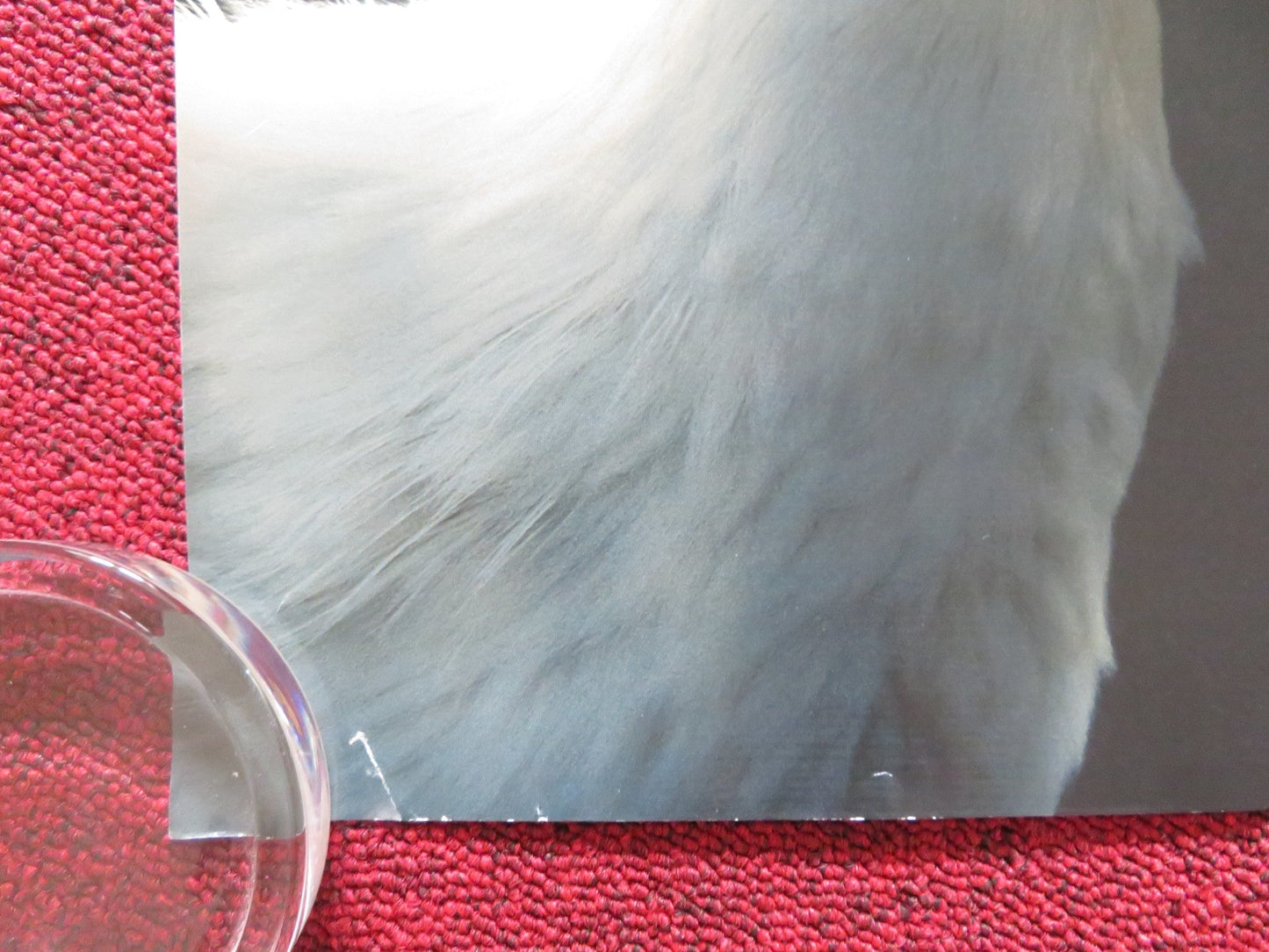 DOLITTLE - B UK QUAD ROLLED POSTER ROBERT DOWNEY JR. ANTONIO BANDERAS 2020 Rendezvous Cinema Movie posters