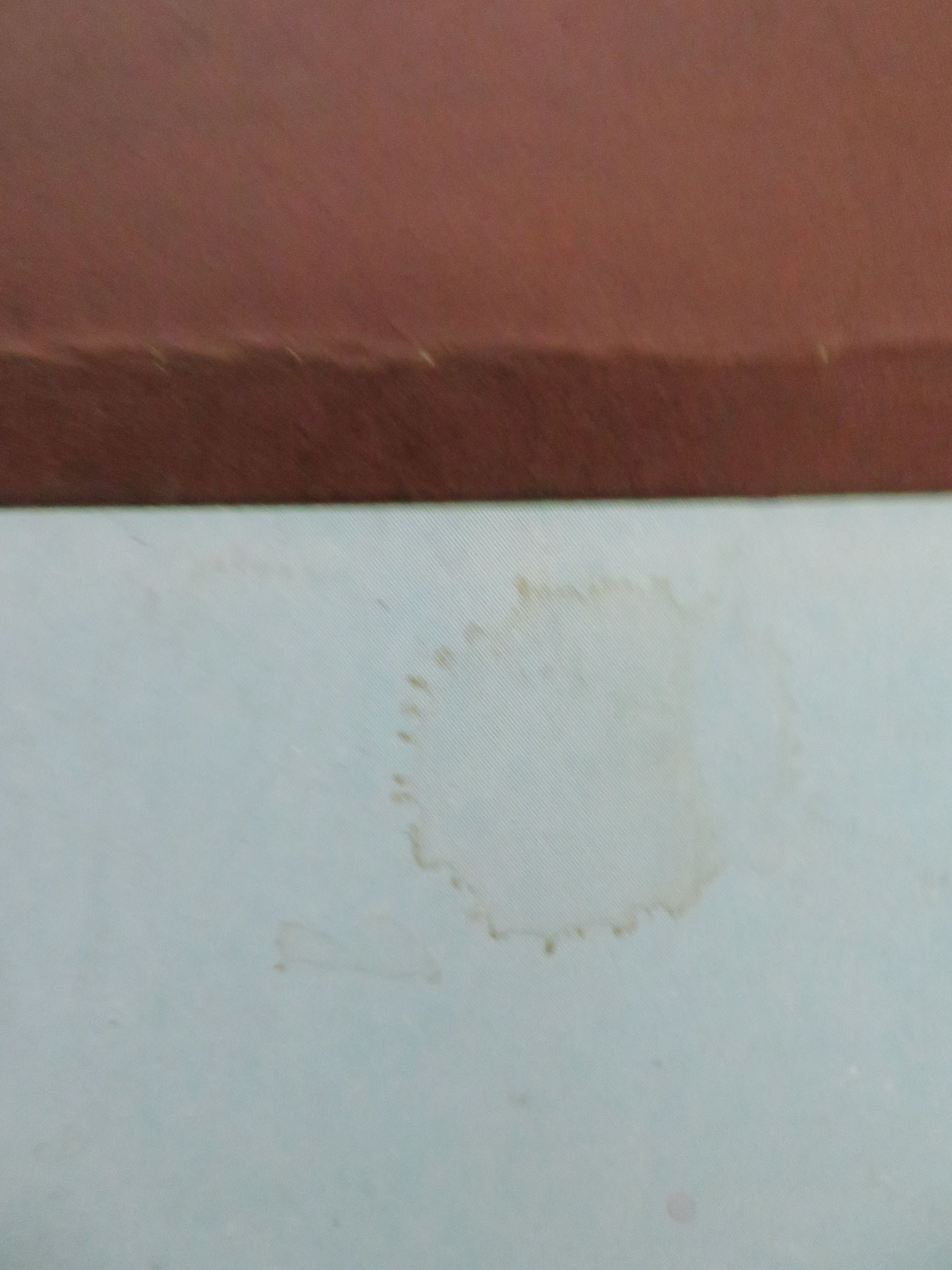 Down and Out in Beverly Hills UK Quad Rolled Poster Richard Dreyfuss 1986 Movie posters