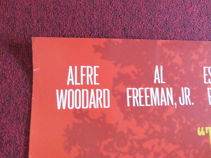 DOWN IN THE DELTA VHS VIDEO POSTER ROLLED ALFRE WOODARD AL FREEMAN JR. 1998 Rendezvous Cinema Movie posters