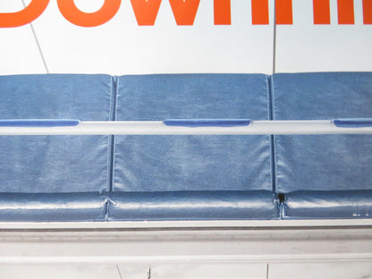 DOWNHILL UK QUAD ROLLED POSTER WILL FERRELL JULIA LOUIS - DREYFUS 2020 Rendezvous Cinema Movie posters