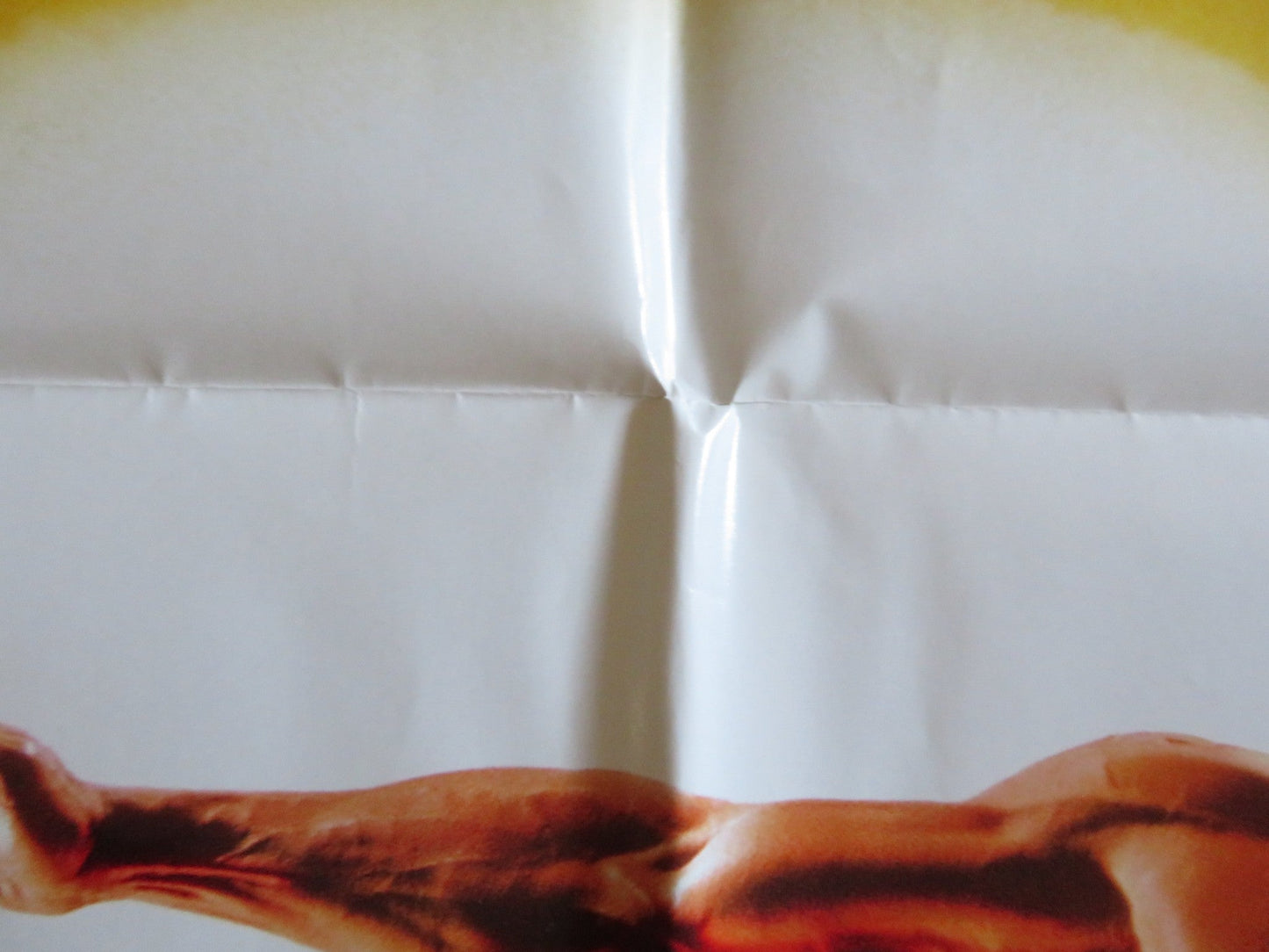 DRAGON : THE BRUCE LEE STORY - B FOLDED US ONE SHEET POSTER ROB COHEN 1993 Rendezvous Cinema Movie posters