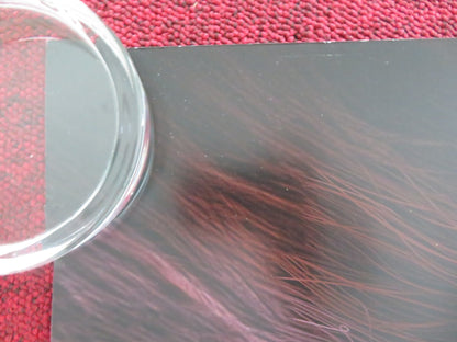 DRAGONKEEPER UK QUAD ROLLED POSTER BILL NIGHY BILL BAILEY 2024 Movie posters