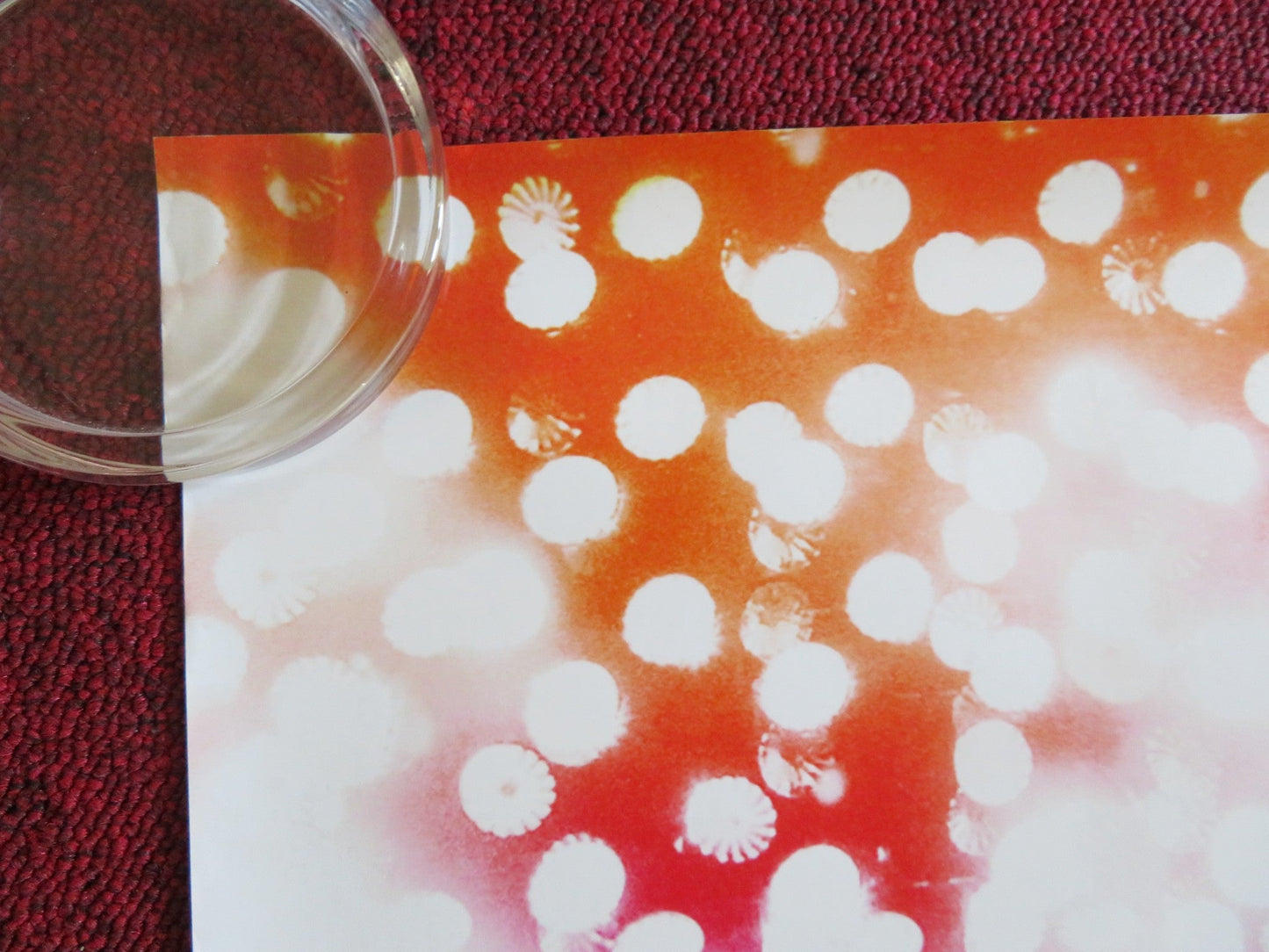 DREAMGIRLS US ONE SHEET ROLLED POSTER JAMIE FOXX BEYONCE 2006 Rendezvous Cinema Movie posters