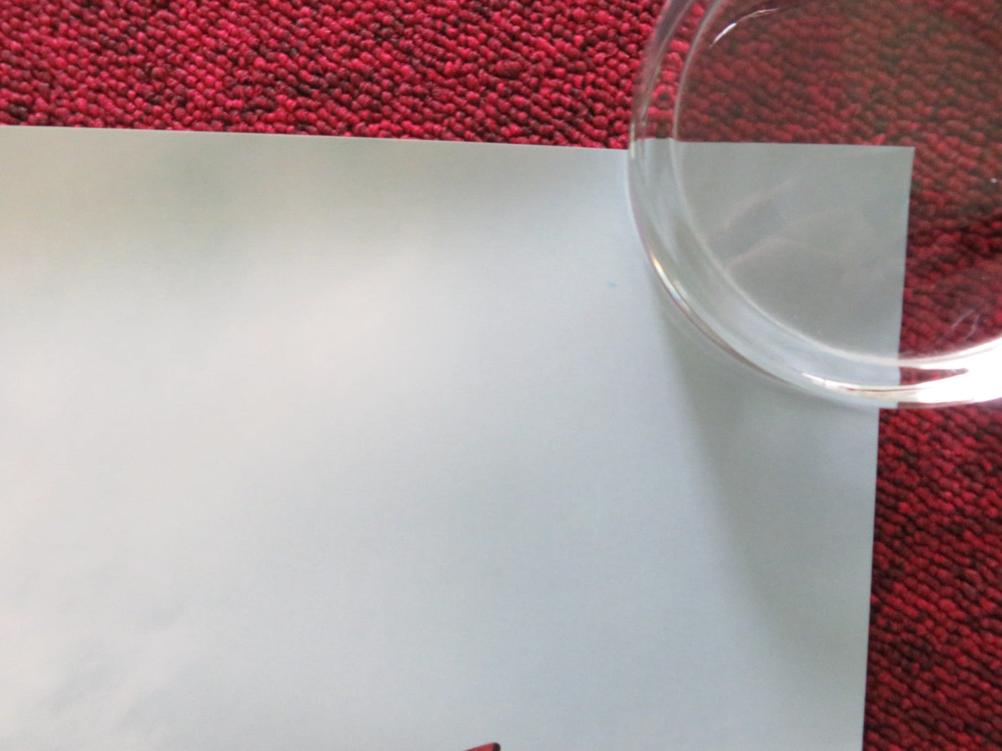 DRIVE - AWAY DOLLS - C US ONE SHEET ROLLED POSTER MARGARET QUALLEY 2024 Rendezvous Cinema Movie posters