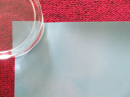 DRIVE - AWAY DOLLS - C US ONE SHEET ROLLED POSTER MARGARET QUALLEY 2024 Rendezvous Cinema Movie posters