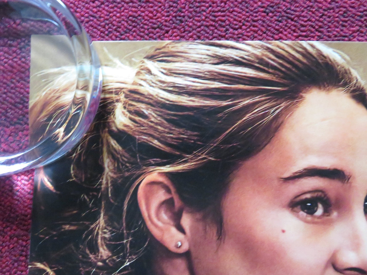 DUMB MONEY UK QUAD ROLLED POSTER PAUL DANO PETE DAVIDSON 2023 Rendezvous Cinema Movie posters