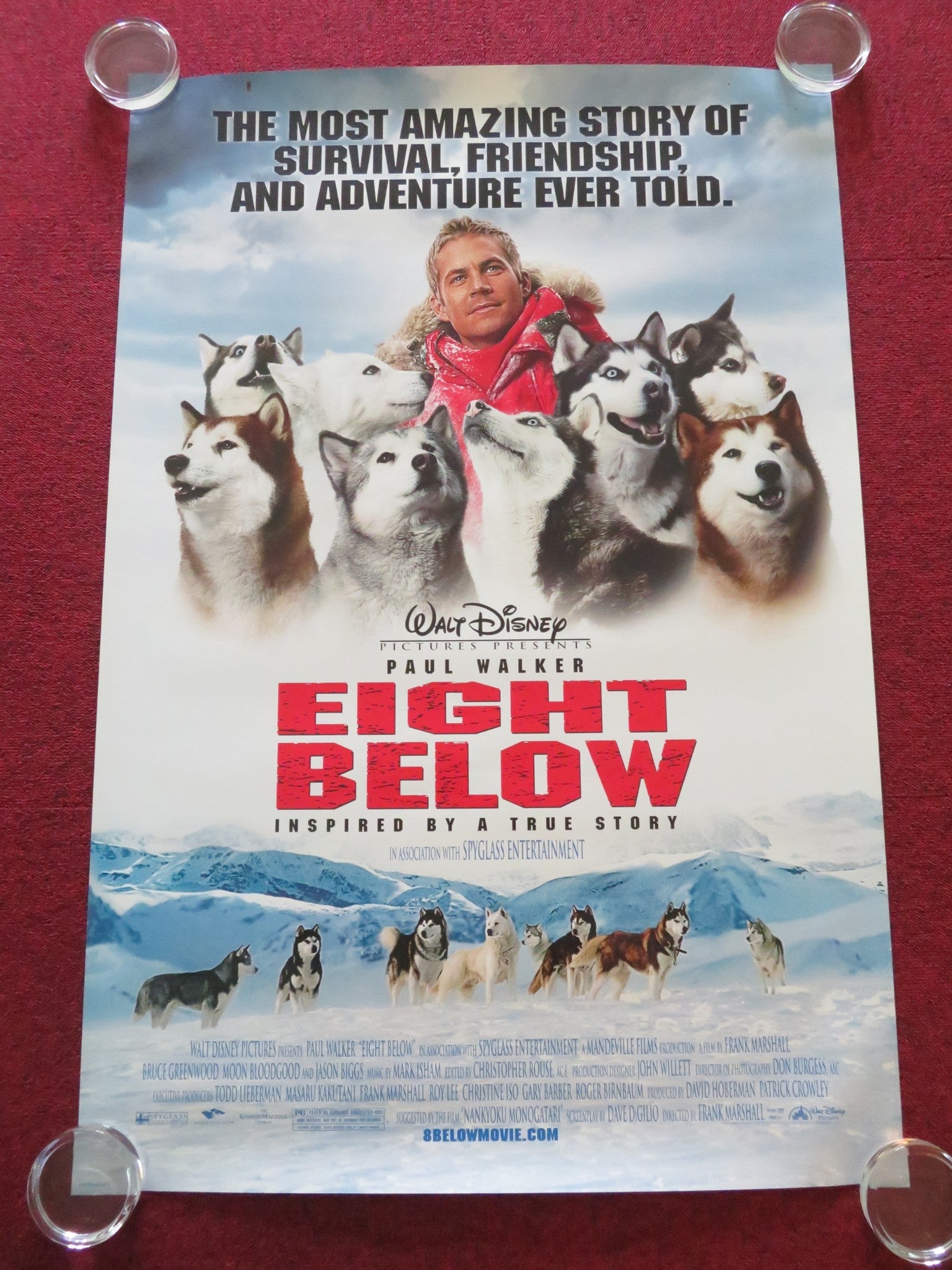 EIGHT BELOW US ONE SHEET ROLLED POSTER DISNEY PAUL WALKER BRUCE GREENWOOD 2006 Movie posters