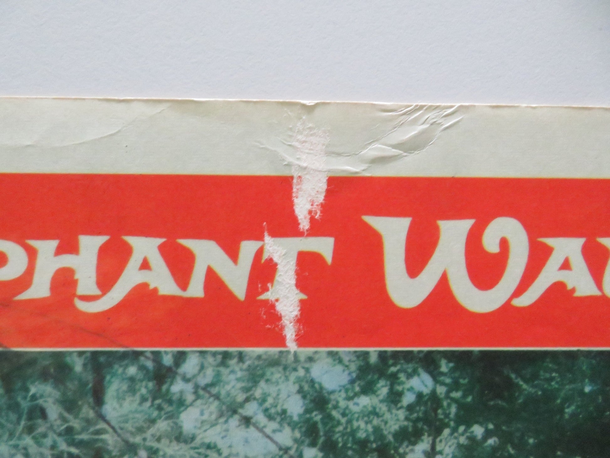 ELEPHANT WALK - #8 US LOBBY CARD ELIZABETH TAYLOR DANA ANDREWS 1953 Rendezvous Cinema Movie posters