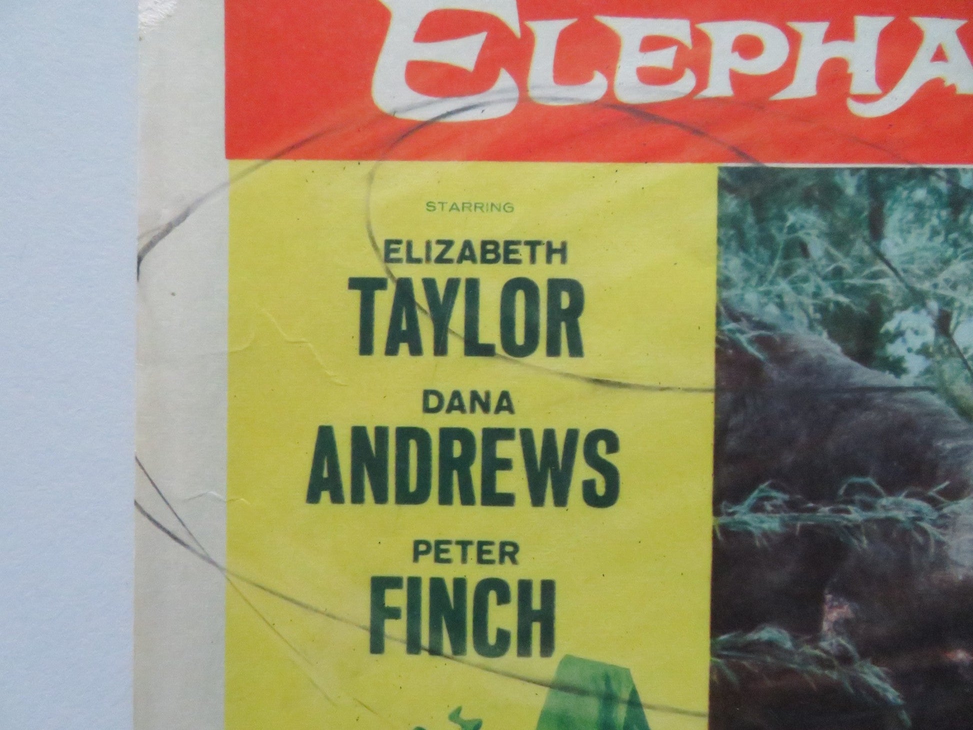 ELEPHANT WALK - #8 US LOBBY CARD ELIZABETH TAYLOR DANA ANDREWS 1953 Rendezvous Cinema Movie posters