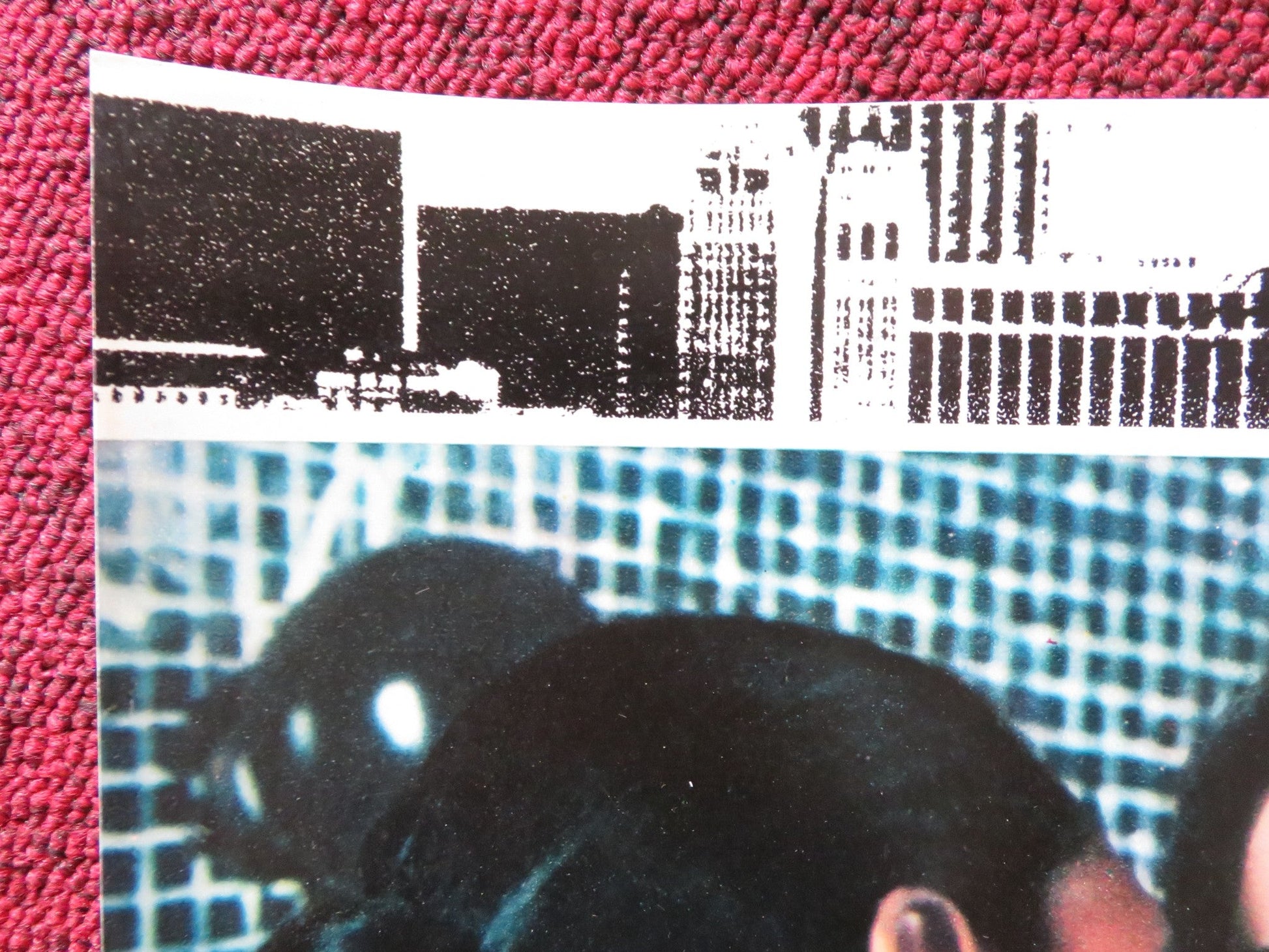 EMANUELLE IN AMERICA - A ITALIAN FOTOBUSTA POSTER JOE D'AMATO LAURA GEMSER 1977 Rendezvous Cinema Movie posters