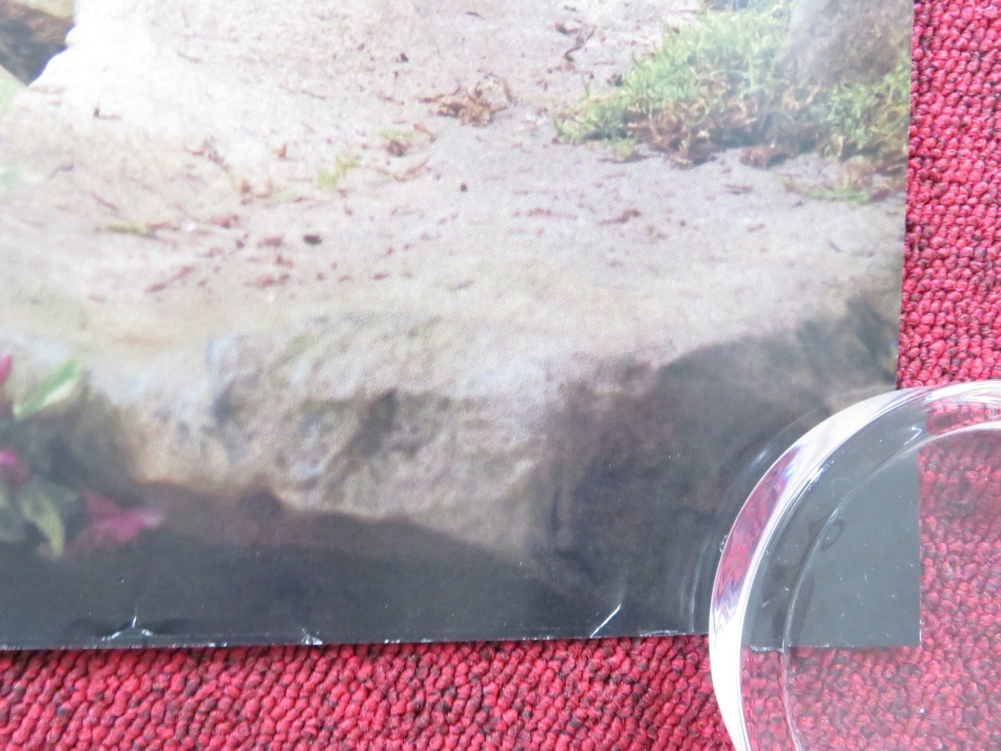 EMMA - B UK QUAD ROLLED POSTER ANA TAYLOR - JOY MIA GOTH 2020 Rendezvous Cinema Movie posters