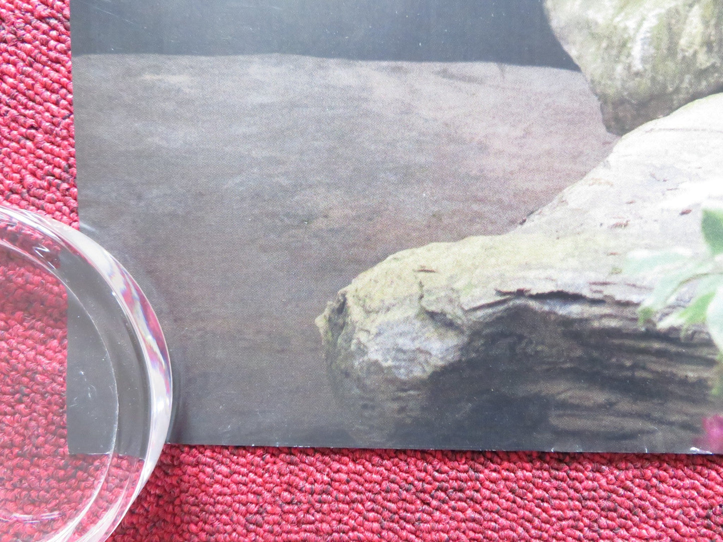 EMMA - B UK QUAD ROLLED POSTER ANA TAYLOR - JOY MIA GOTH 2020 Rendezvous Cinema Movie posters