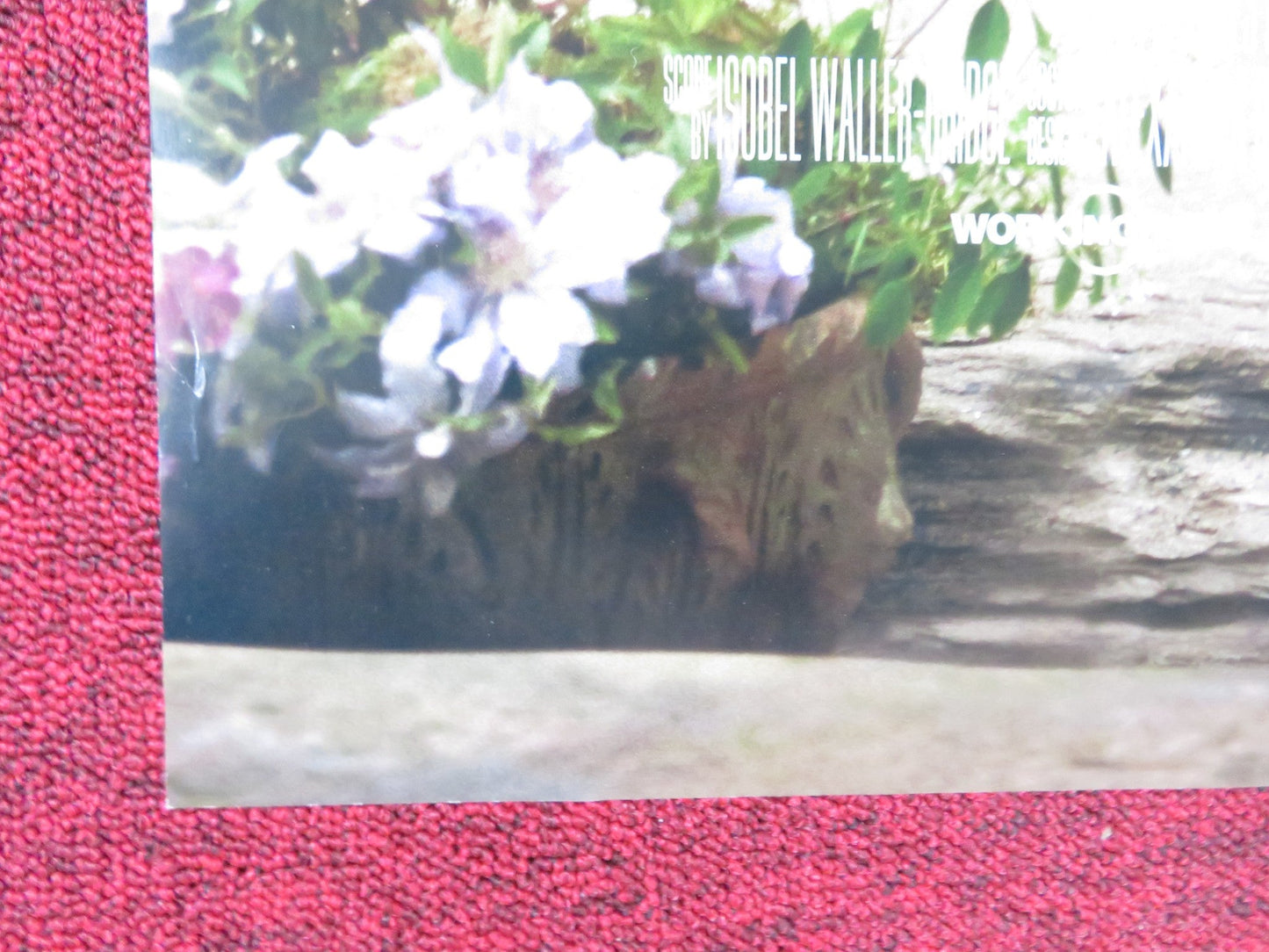 EMMA - B US ONE SHEET ROLLED POSTER ANYA TAYLOR - JOY MIA GOTH 2020 Rendezvous Cinema Movie posters